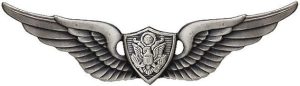 Basic Aviation Army Crewman Wings Pin Oxidized, Silver, One Size