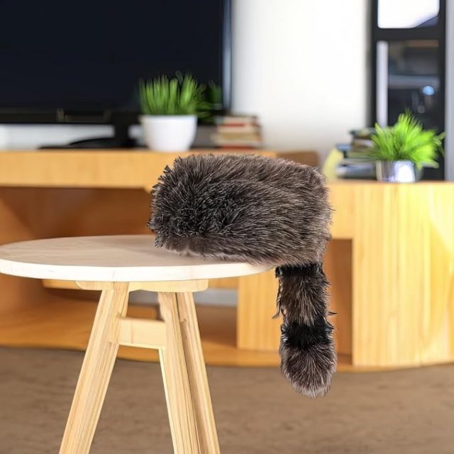Rhode Island Novelty Raccoon Tail Hat, One Per Order